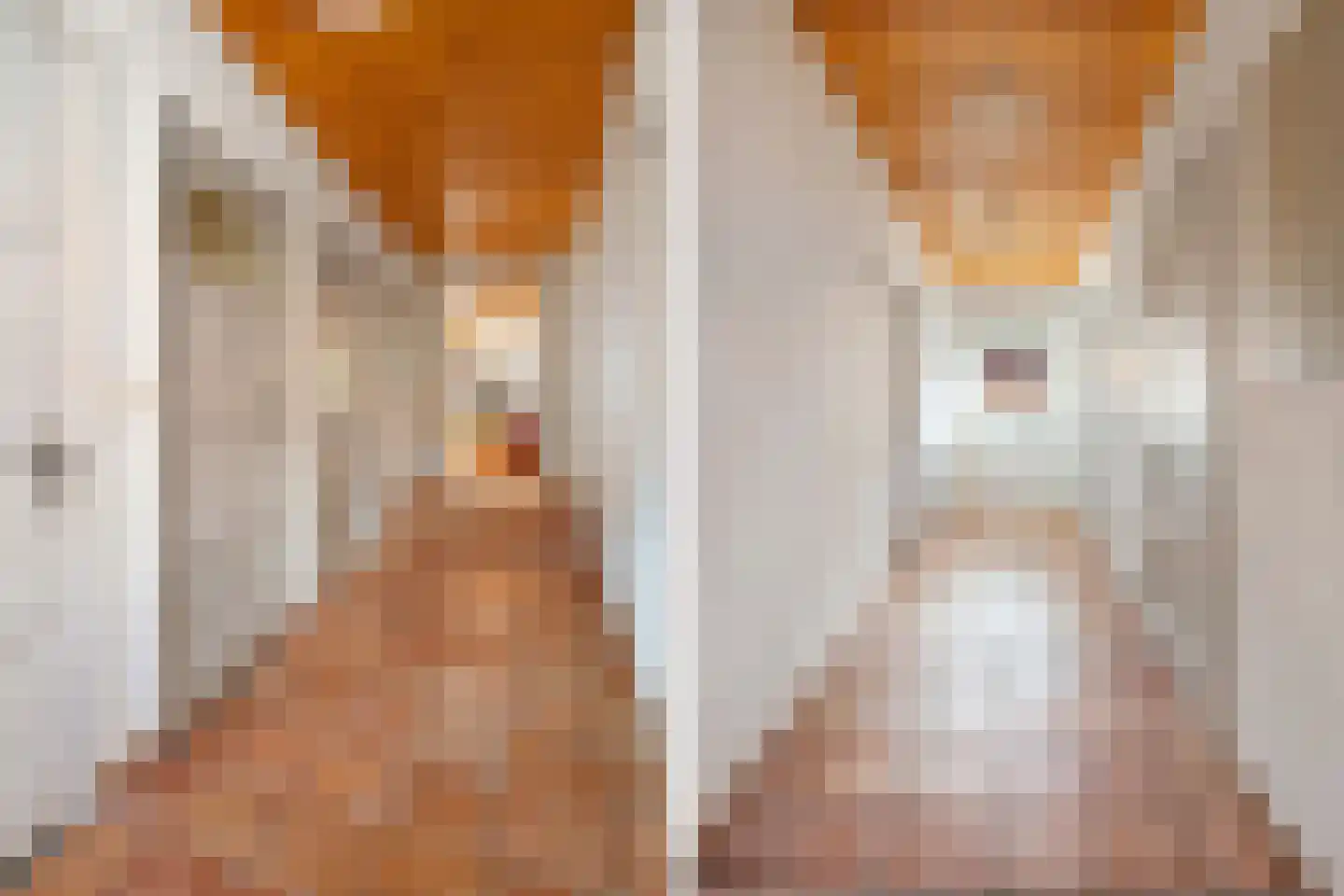 Rijsdammerweg 8 Sellingen thumbnail 31