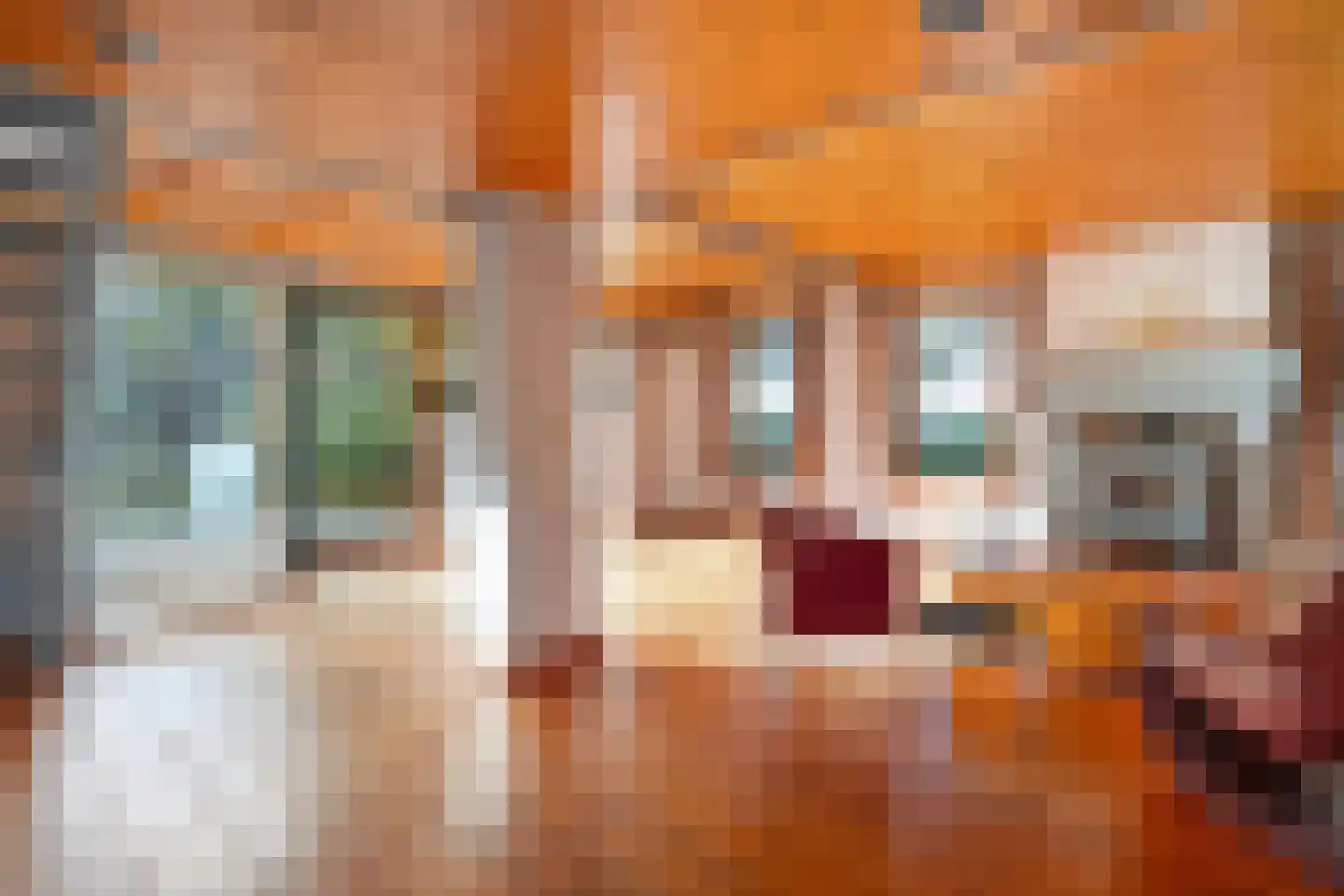 Rijsdammerweg 8 Sellingen thumbnail 32