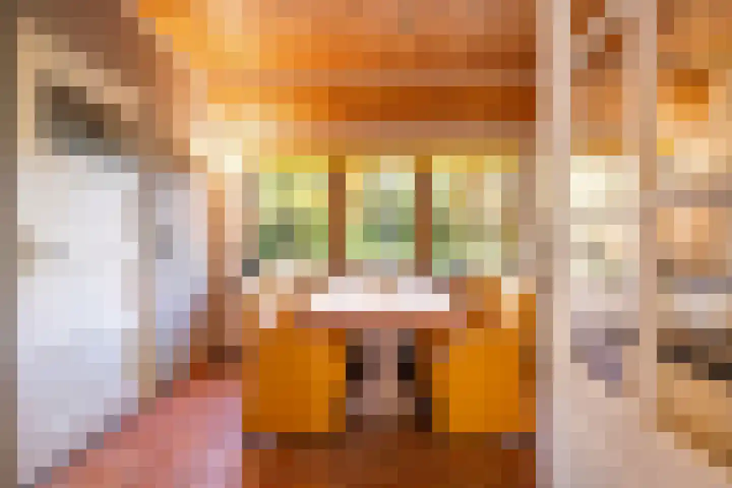 Rijsdammerweg 8 Sellingen thumbnail 37
