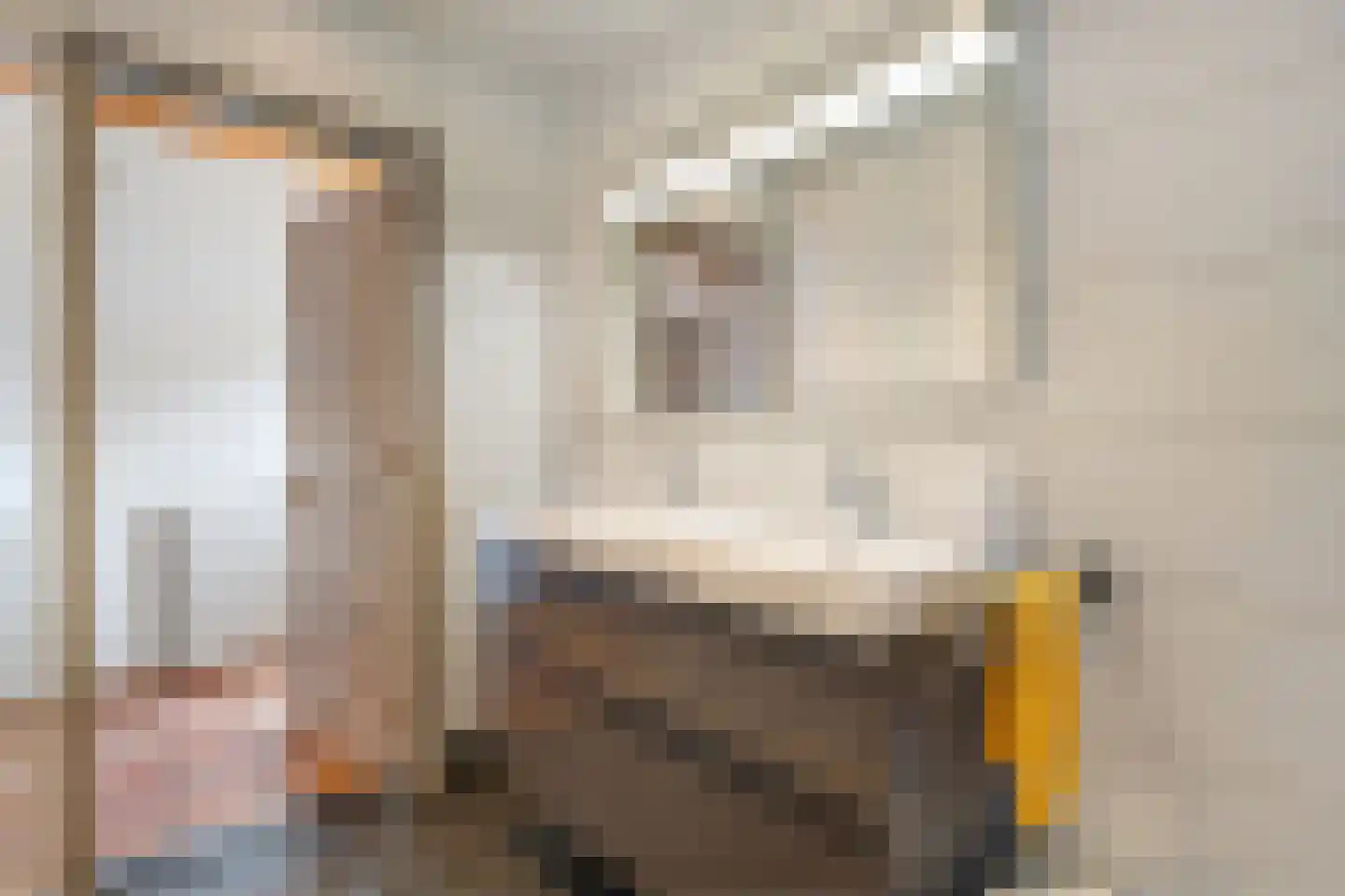 Rijsdammerweg 8 Sellingen thumbnail 46
