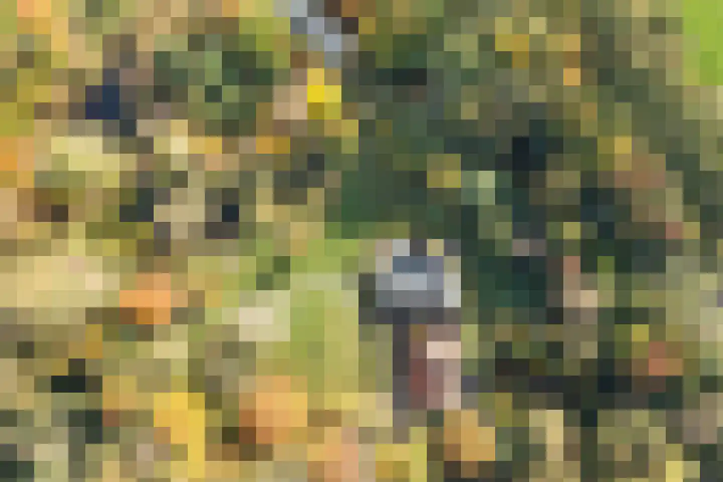 Rijsdammerweg 8 Sellingen thumbnail 55