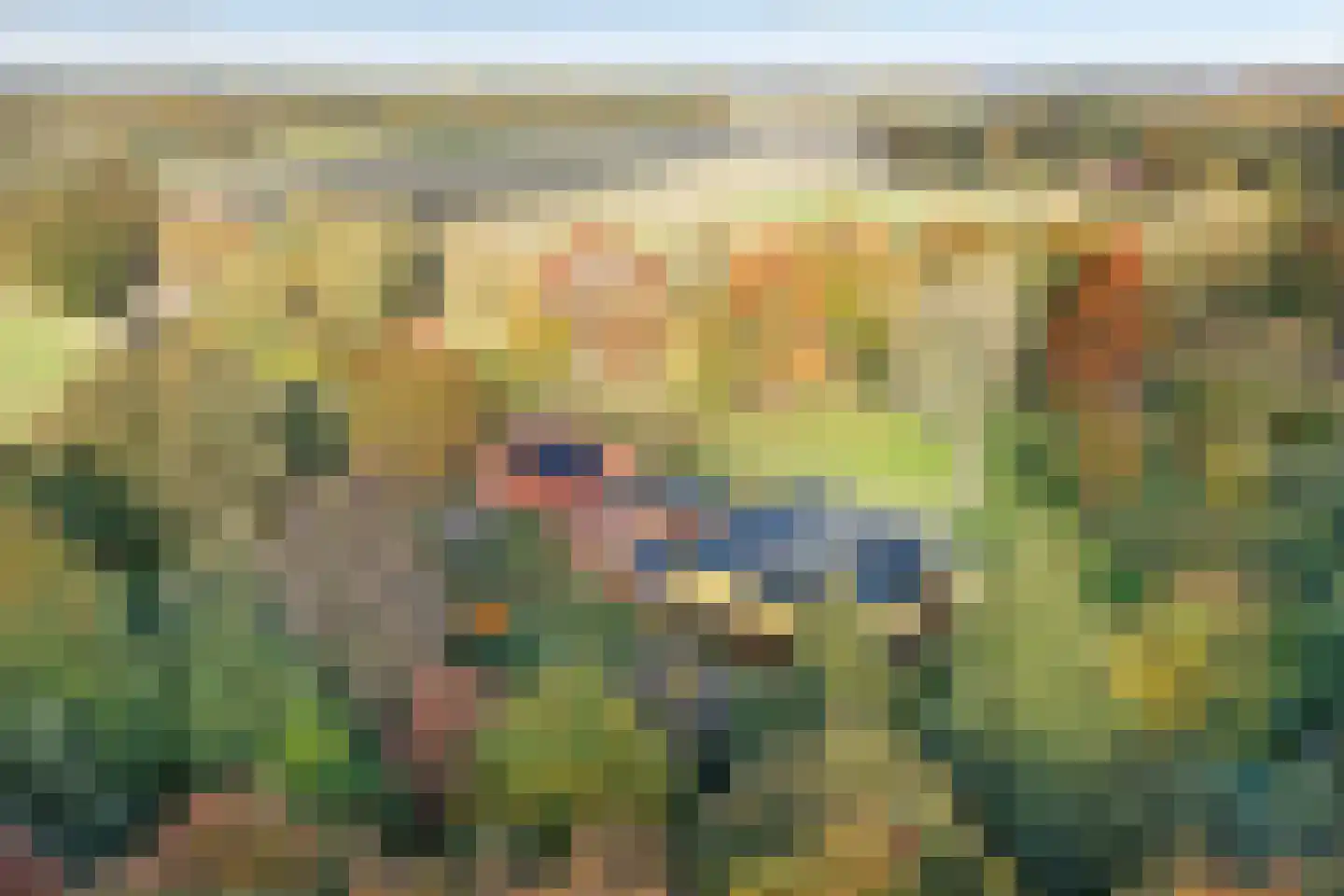 Rijsdammerweg 8 Sellingen thumbnail 57