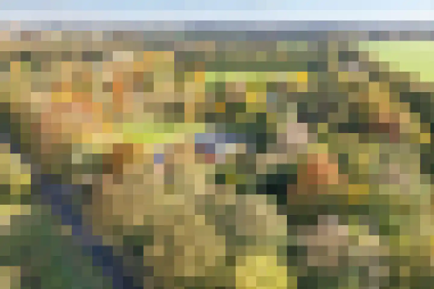 Rijsdammerweg 8 Sellingen thumbnail 58