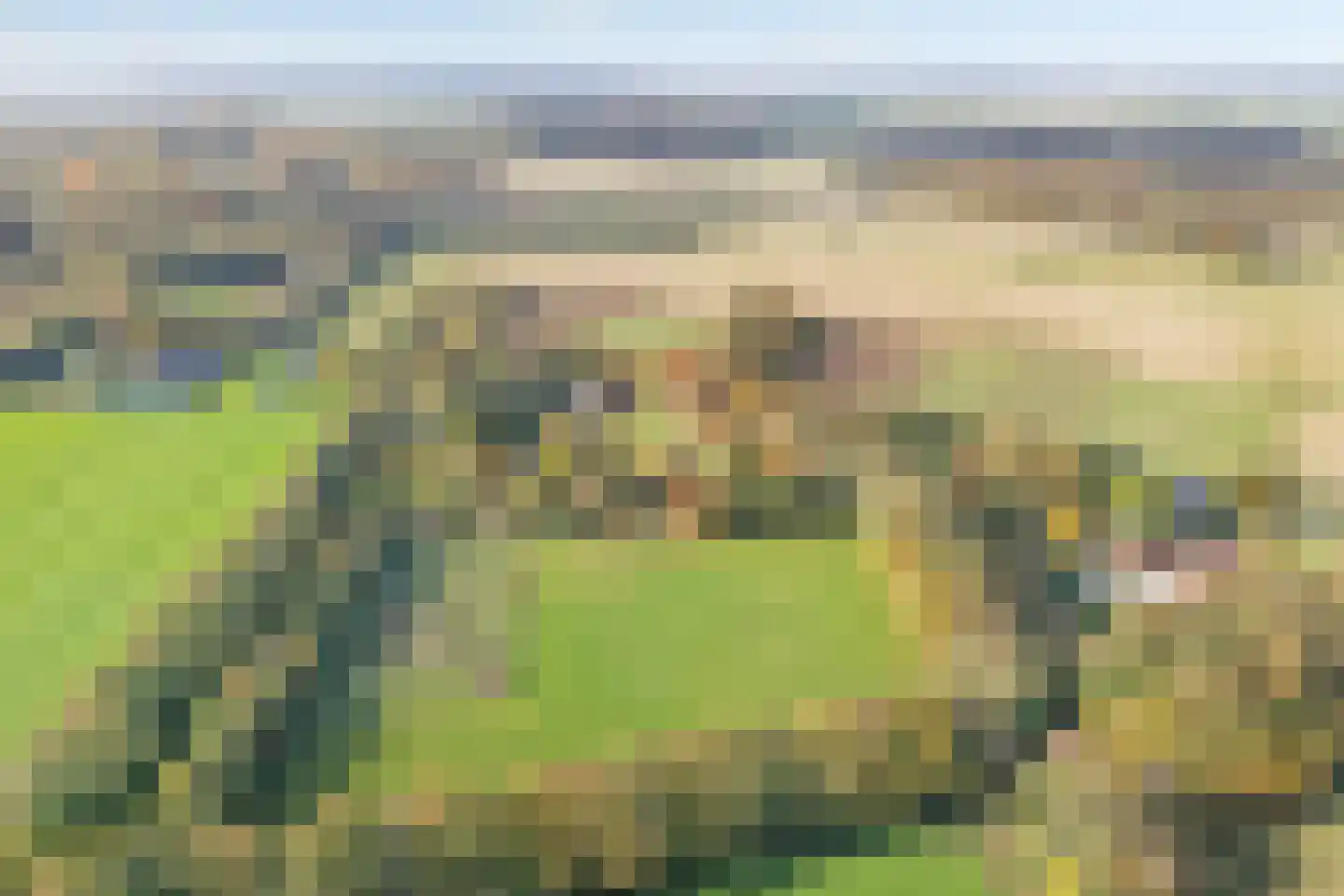 Rijsdammerweg 8 Sellingen thumbnail 59