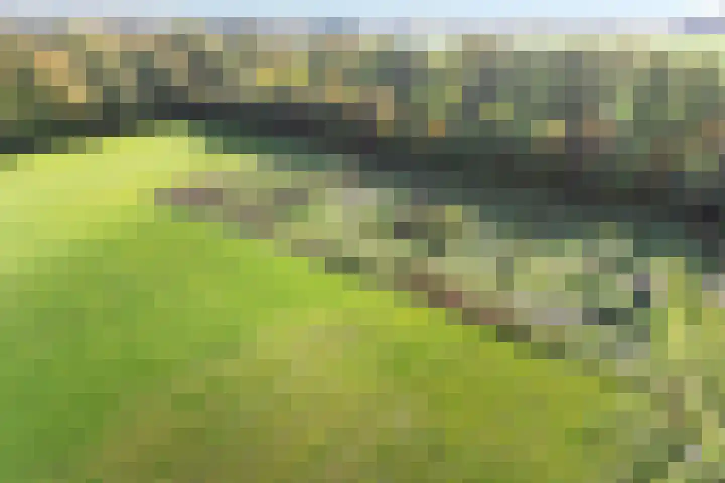 Rijsdammerweg 8 Sellingen thumbnail 60