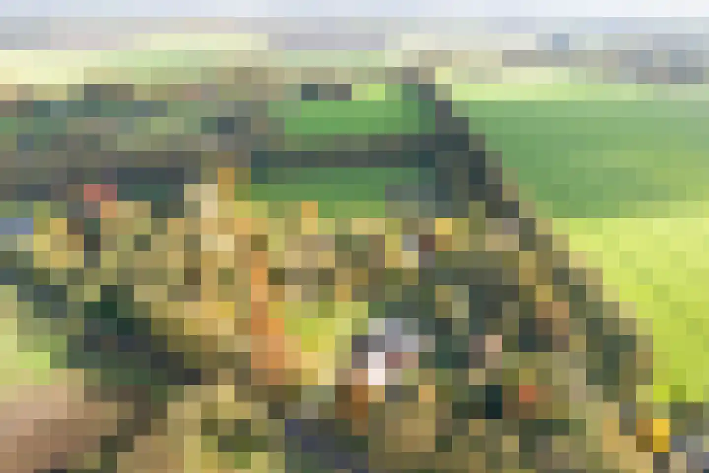 Rijsdammerweg 8 Sellingen thumbnail 61