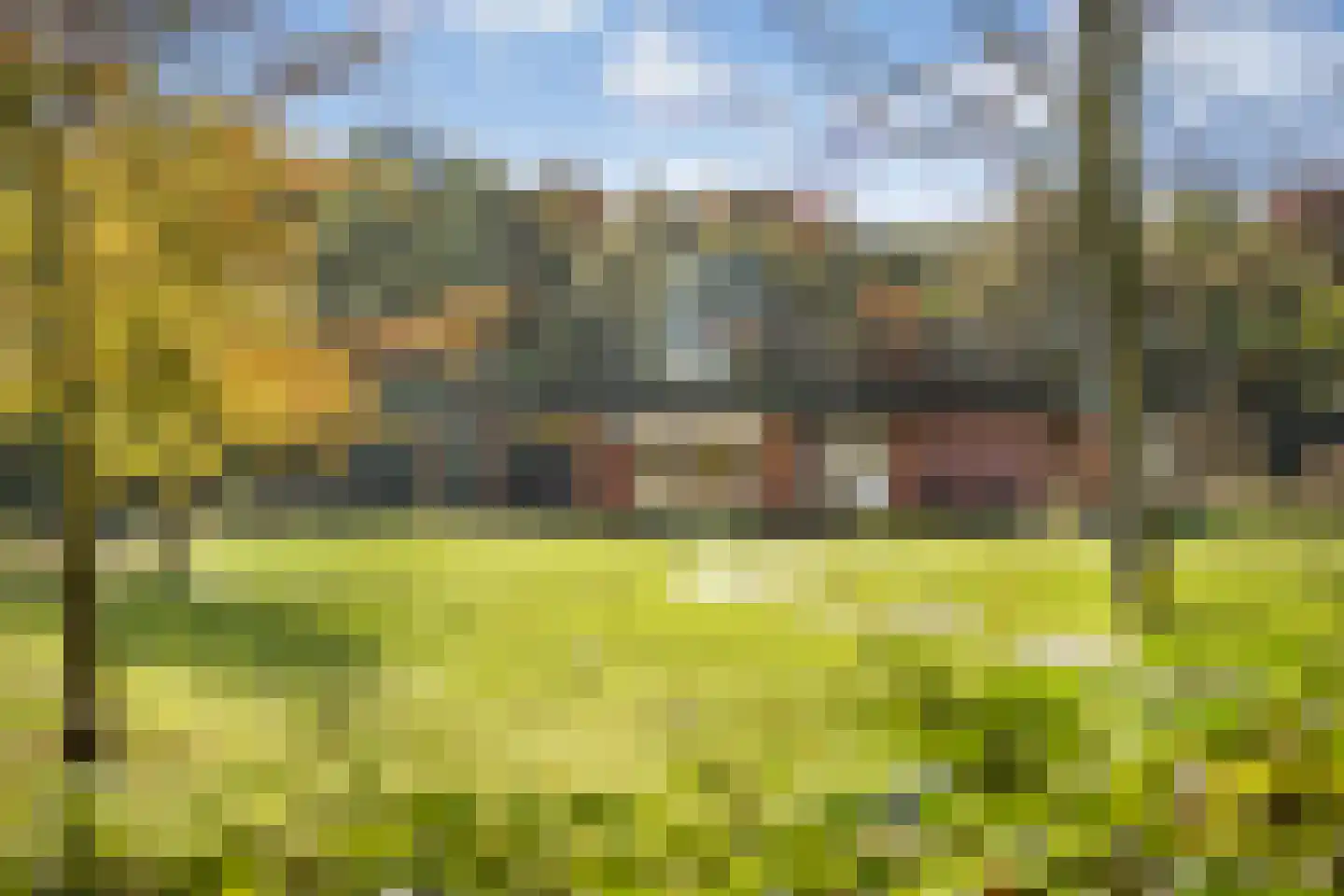 Rijsdammerweg 8 Sellingen thumbnail 62