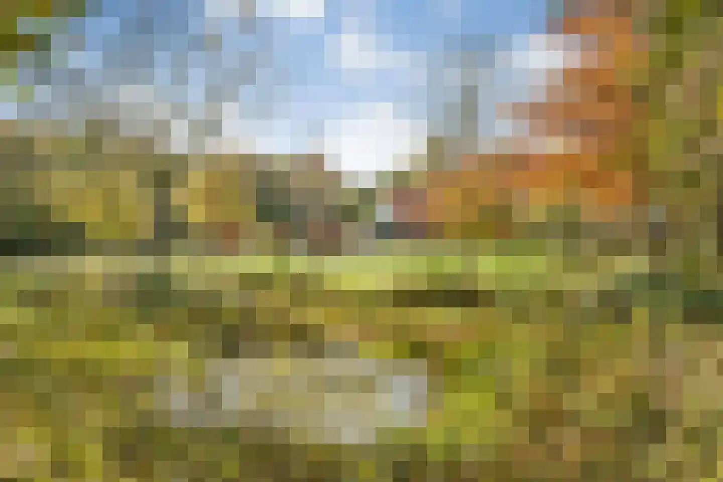 Rijsdammerweg 8 Sellingen thumbnail 63