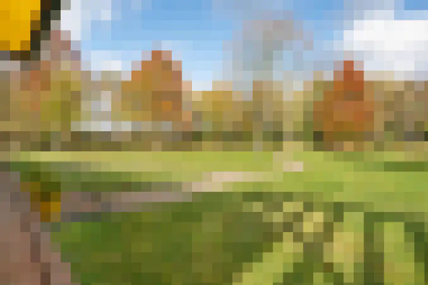 Rijsdammerweg 8 Sellingen thumbnail 65