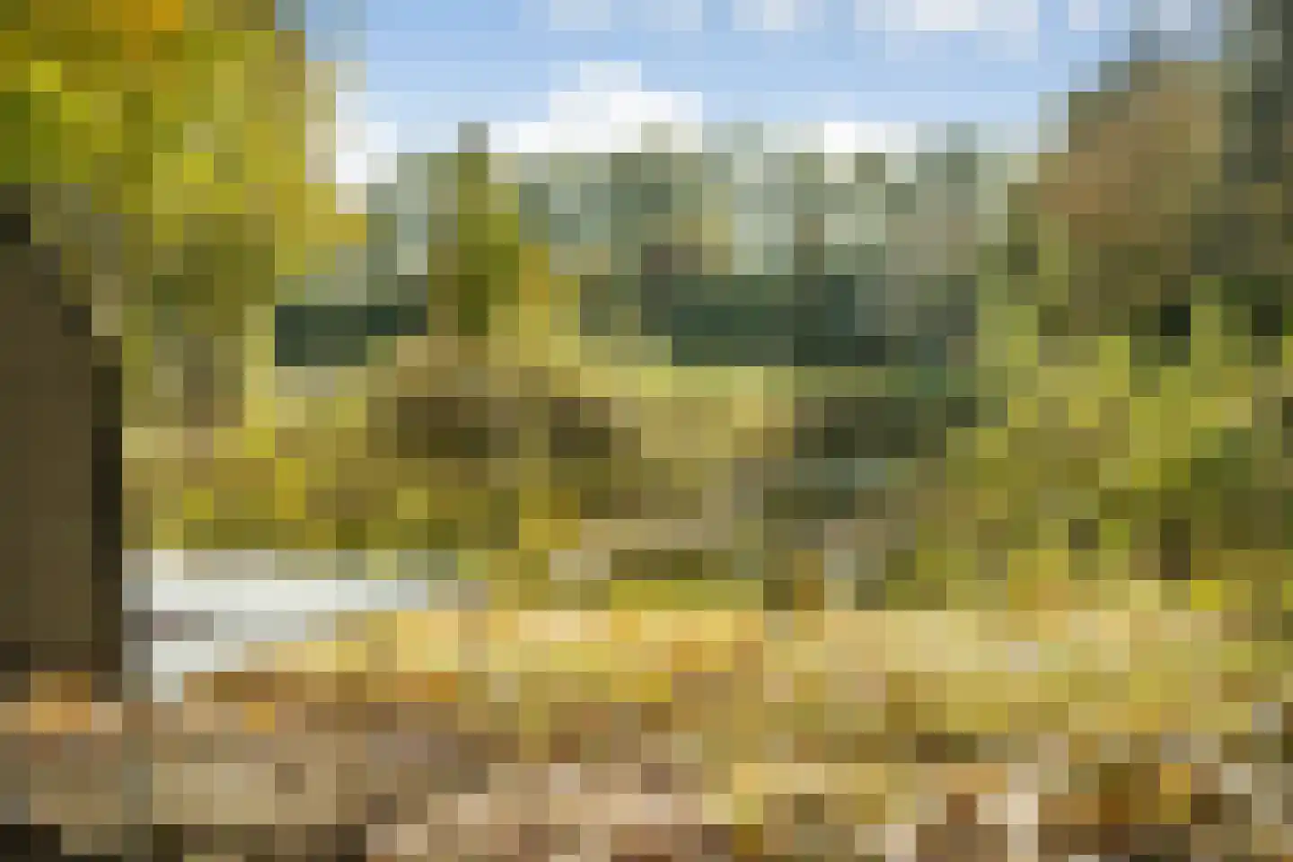 Rijsdammerweg 8 Sellingen thumbnail 66
