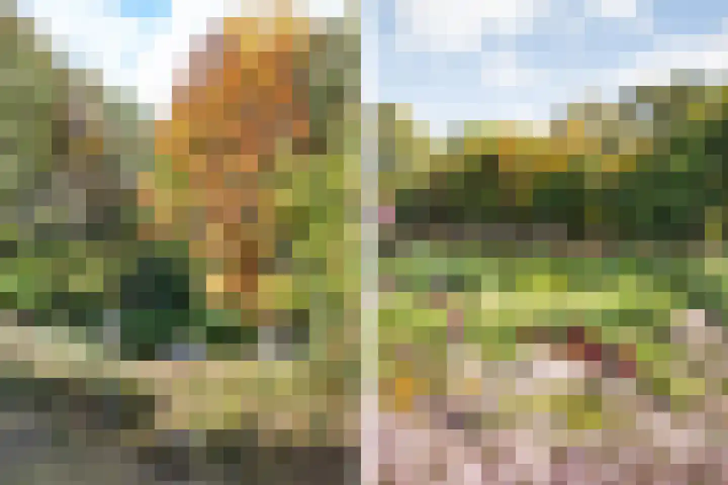 Rijsdammerweg 8 Sellingen thumbnail 67