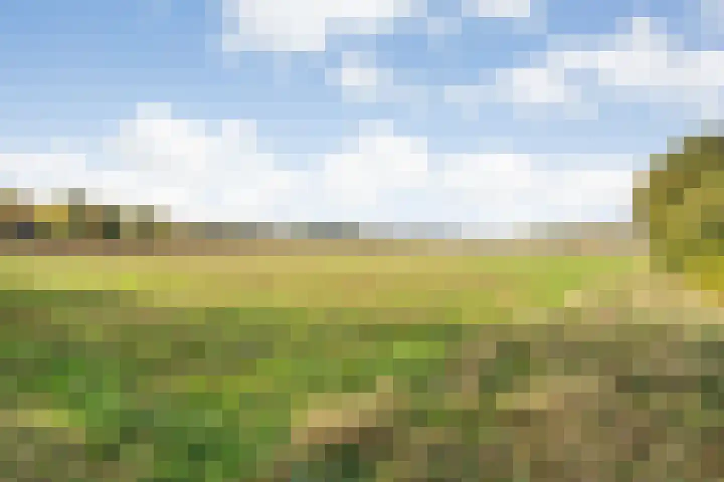 Rijsdammerweg 8 Sellingen thumbnail 68