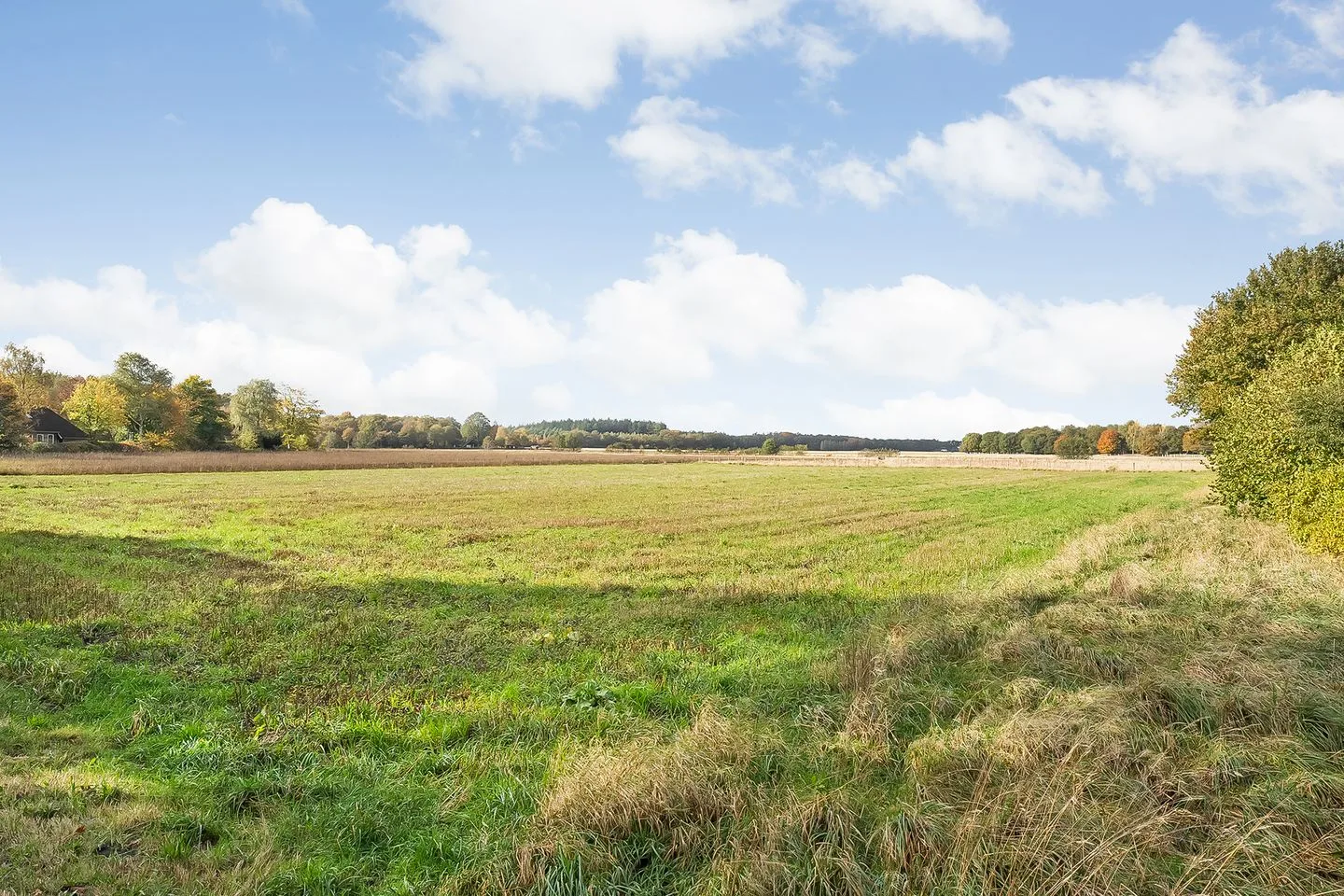 Rijsdammerweg 8 Sellingen thumbnail 68