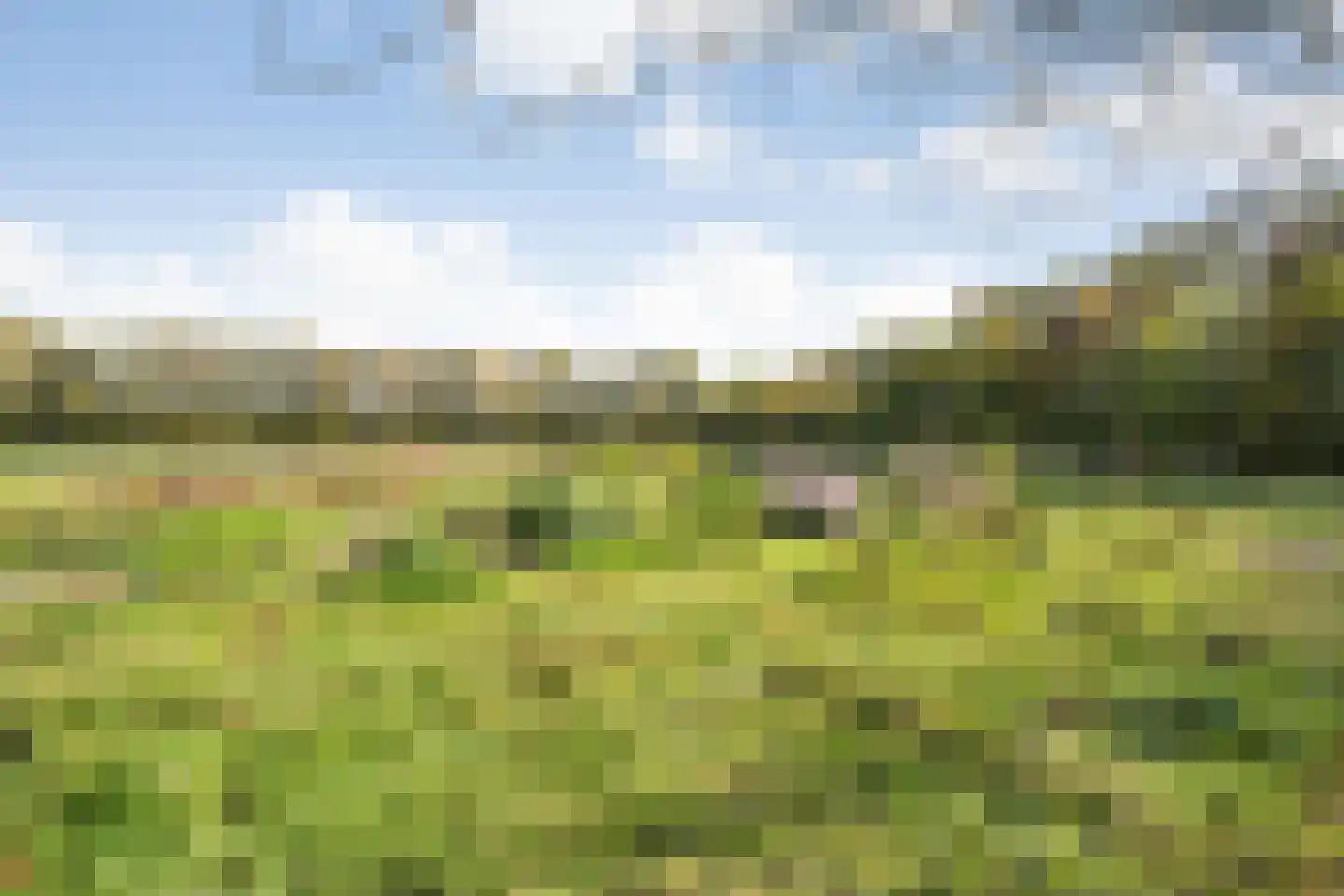 Rijsdammerweg 8 Sellingen thumbnail 69