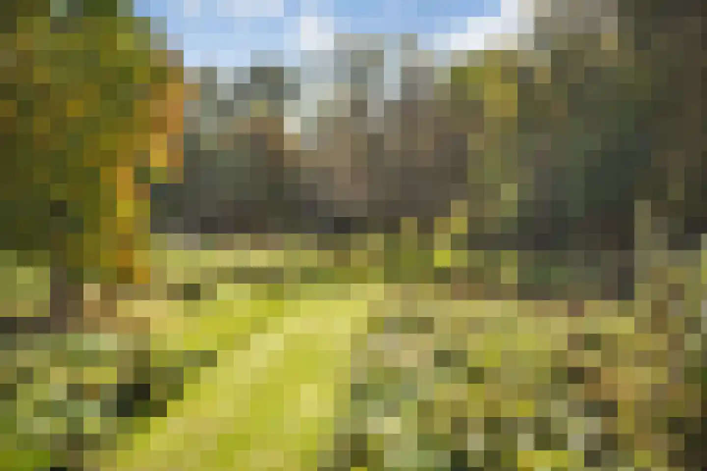 Rijsdammerweg 8 Sellingen thumbnail 70