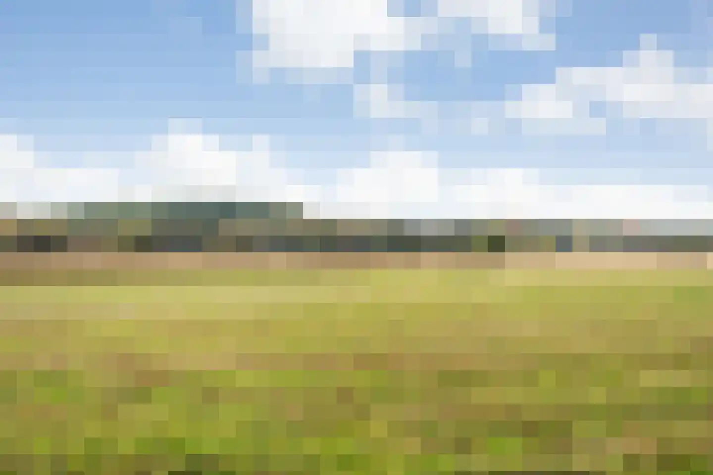 Rijsdammerweg 8 Sellingen thumbnail 71