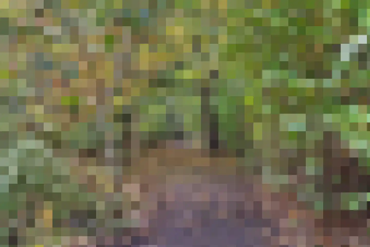Rijsdammerweg 8 Sellingen thumbnail 72