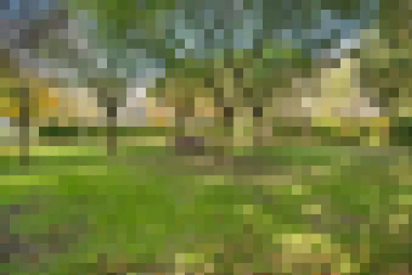 Rijsdammerweg 8 Sellingen thumbnail 73