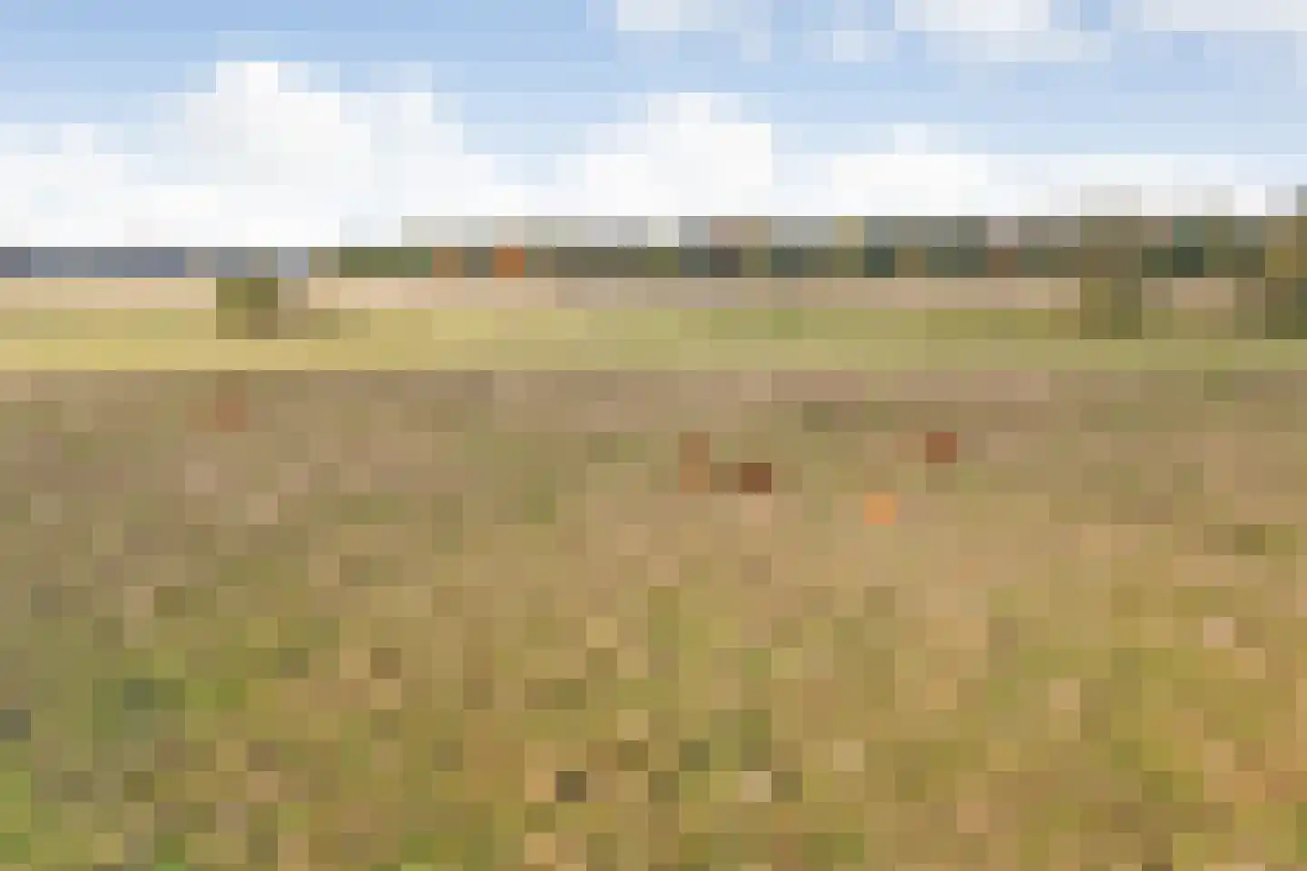 Rijsdammerweg 8 Sellingen thumbnail 74