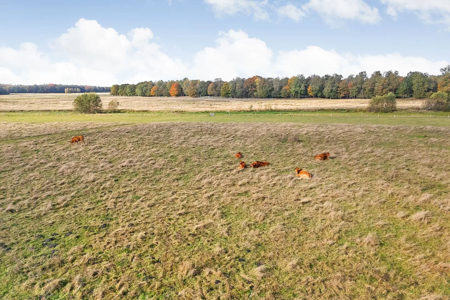Rijsdammerweg 8 Sellingen thumbnail 74