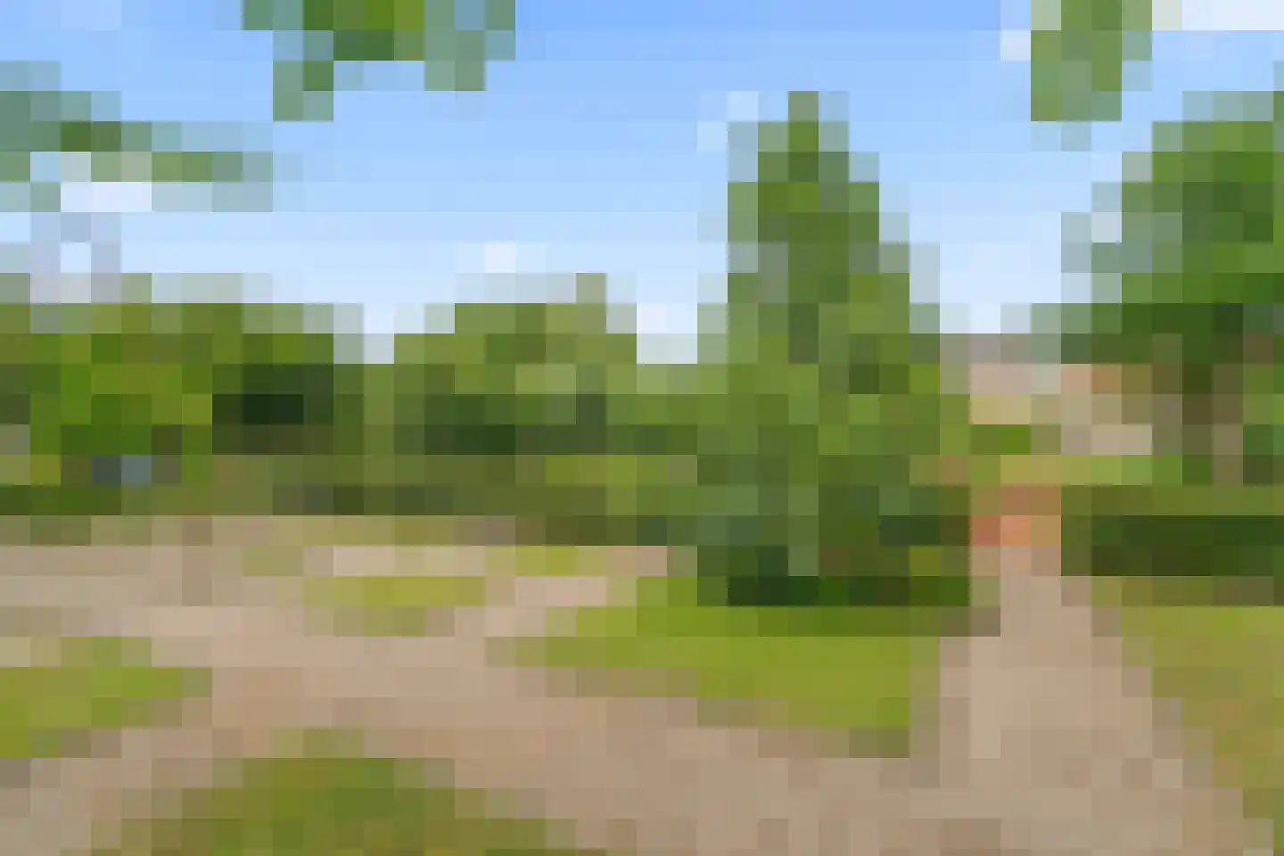 Rijsdijk 109 Rhoon thumbnail 11