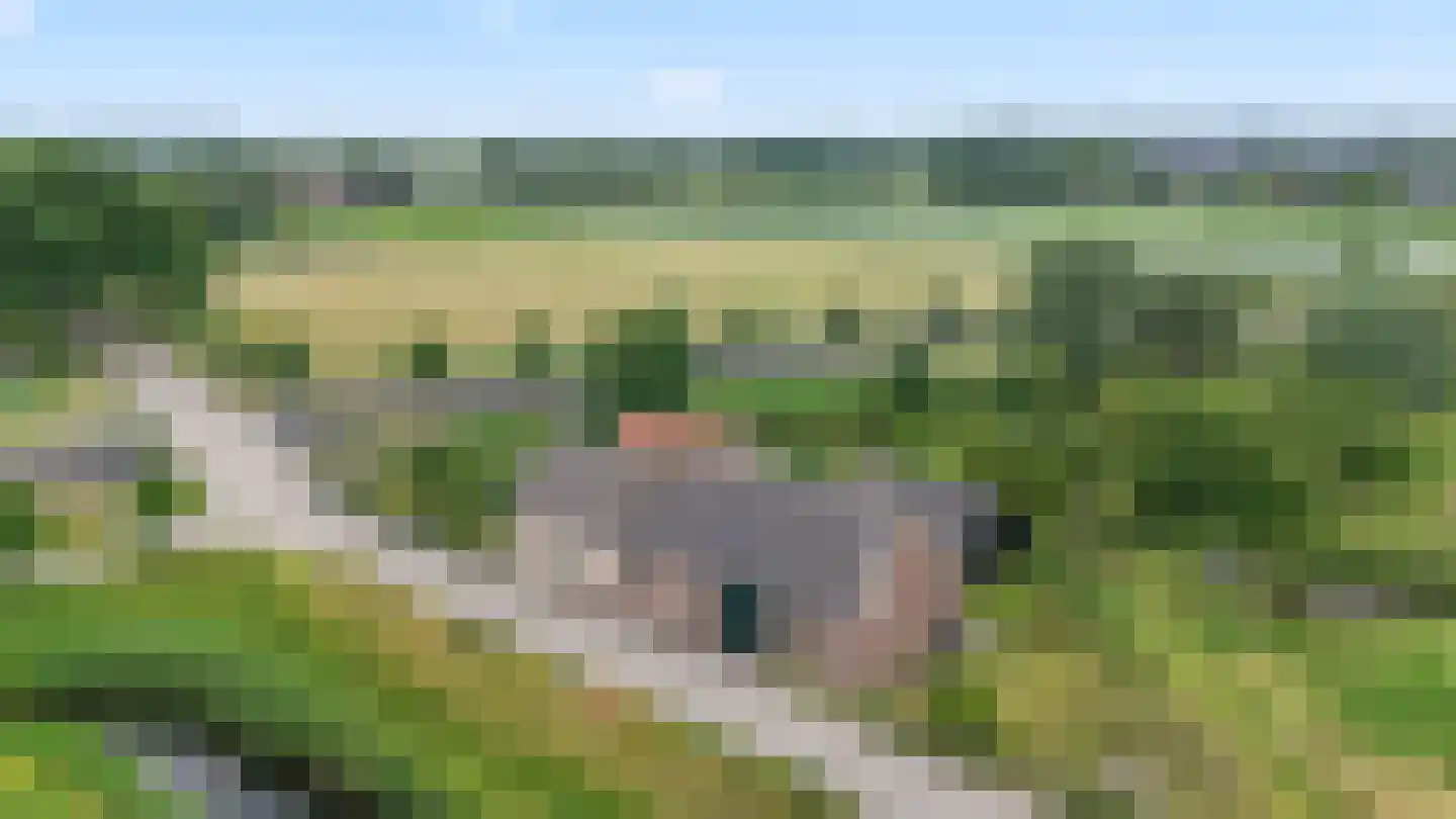 Rijsdijk 109 Rhoon thumbnail 14