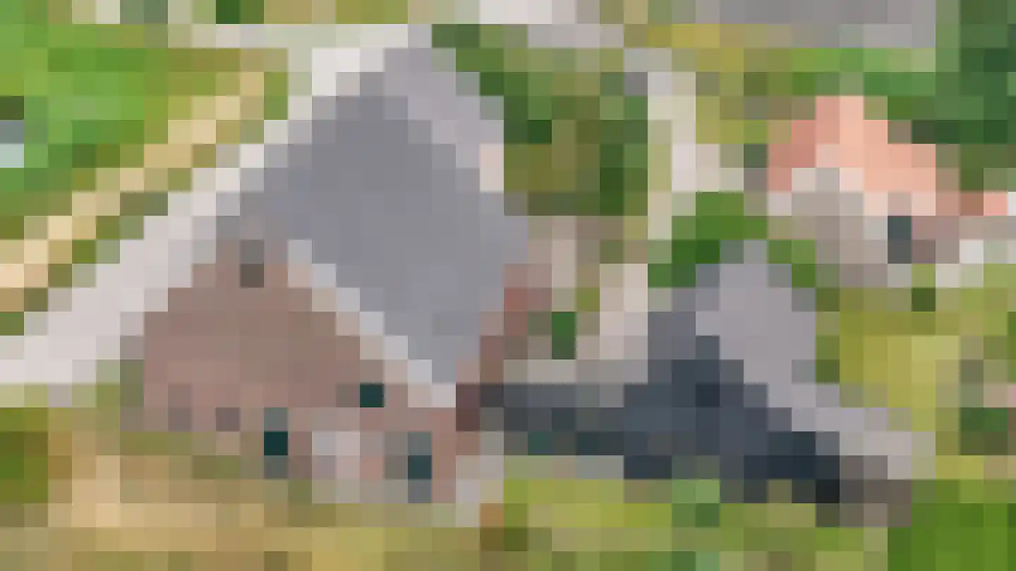Rijsdijk 109 Rhoon thumbnail 15