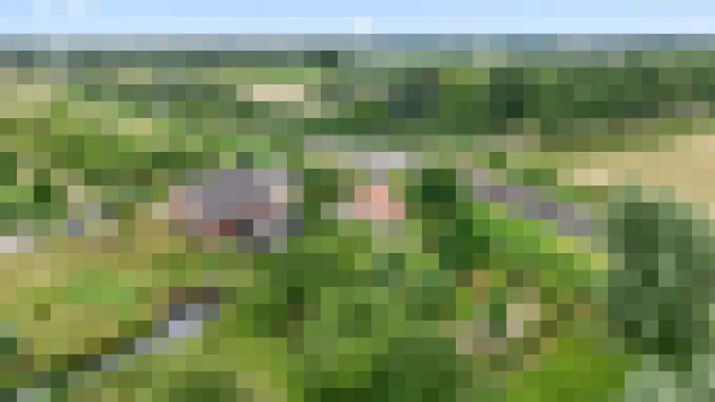 Rijsdijk 109 Rhoon thumbnail 16