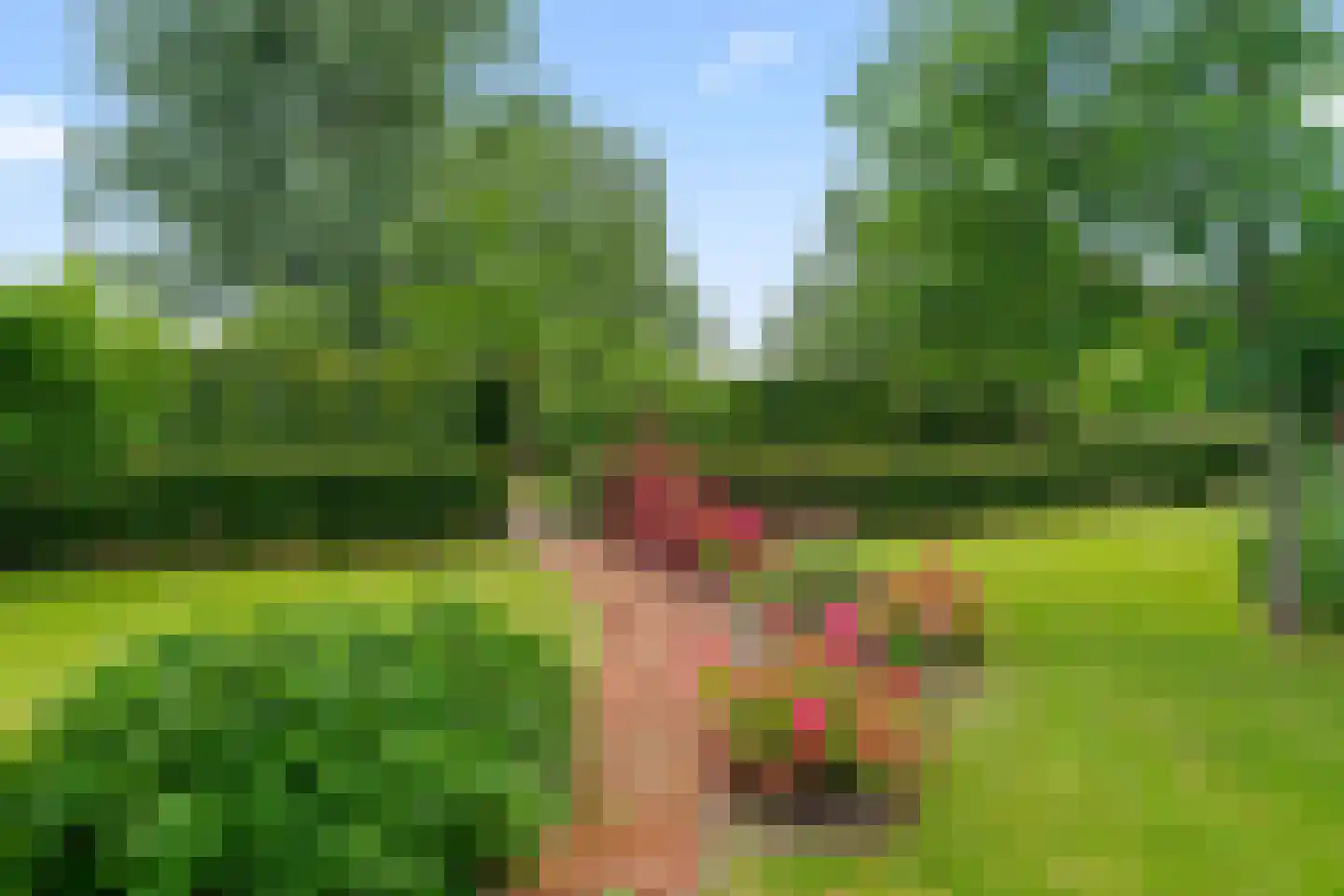 Rijsdijk 109 Rhoon thumbnail 23