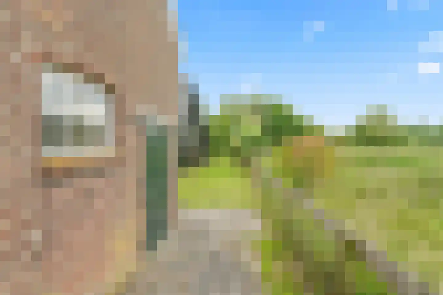 Rijsdijk 109 Rhoon thumbnail 26