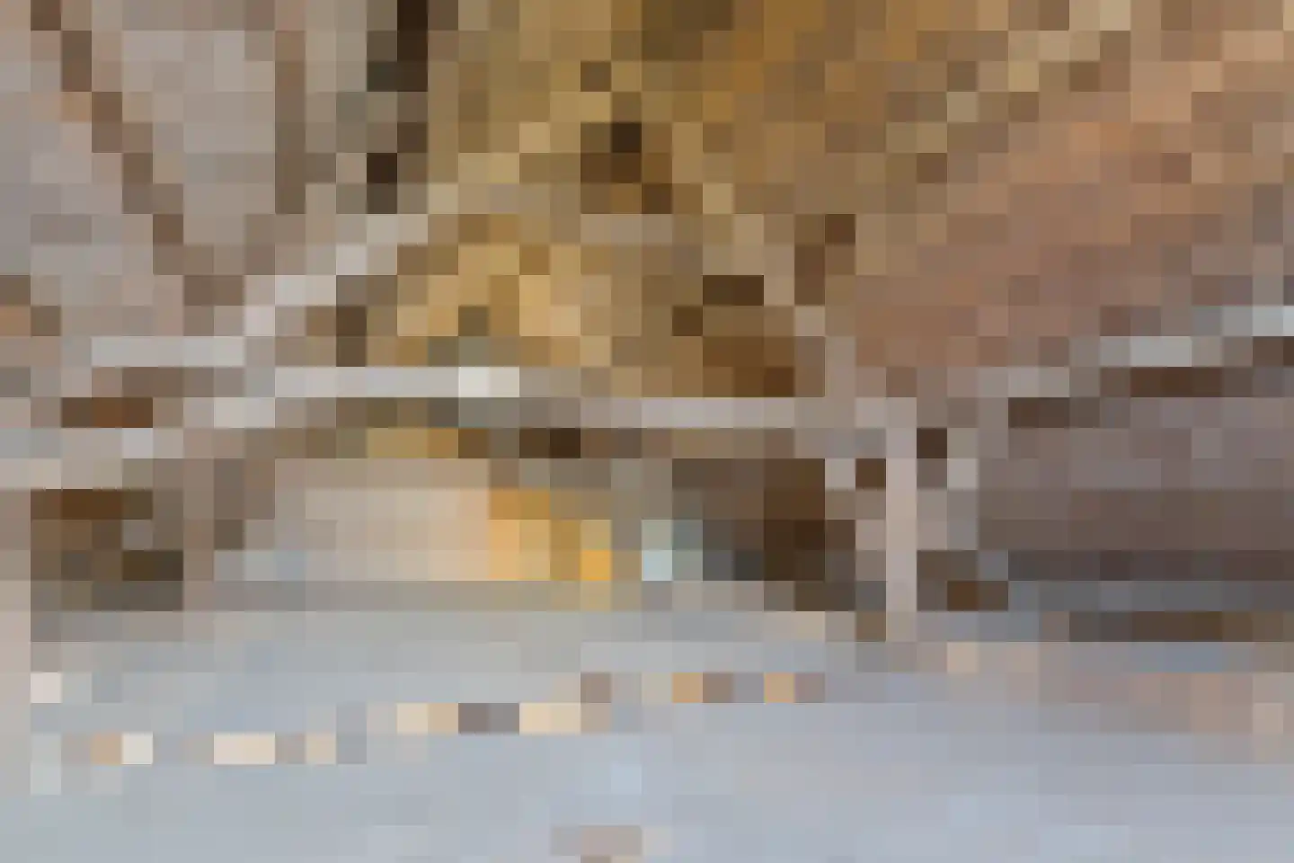Rijsdijk 109 Rhoon thumbnail 57
