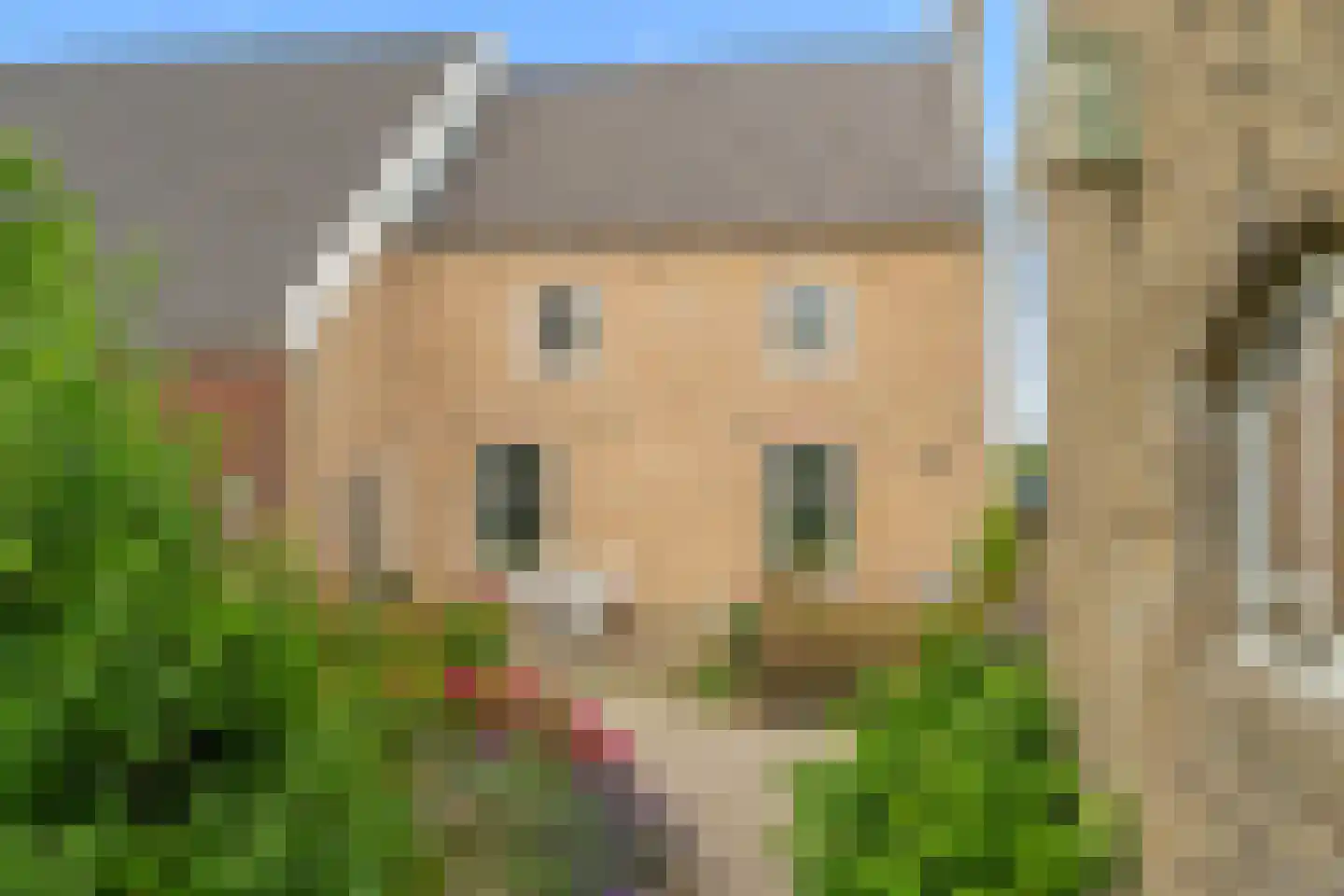 Rijsdijk 109 Rhoon thumbnail 9