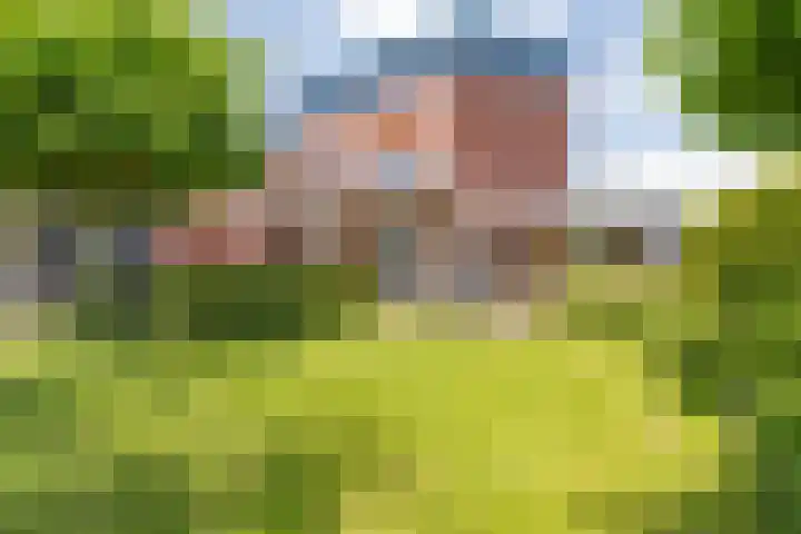 Rijsdijk 116 Etten-Leur thumbnail 72