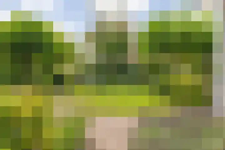 Rijsdijk 116 Etten-Leur thumbnail 8
