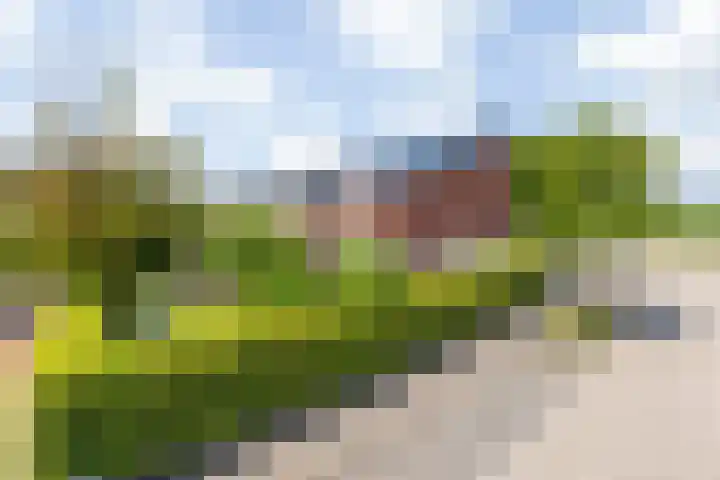 Rijsdijk 116 Etten-Leur thumbnail 9