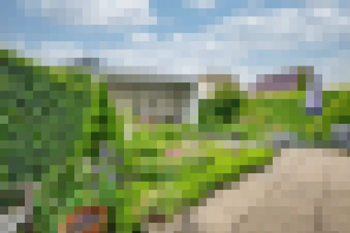 Rijsdijk 152 Etten-Leur thumbnail 31