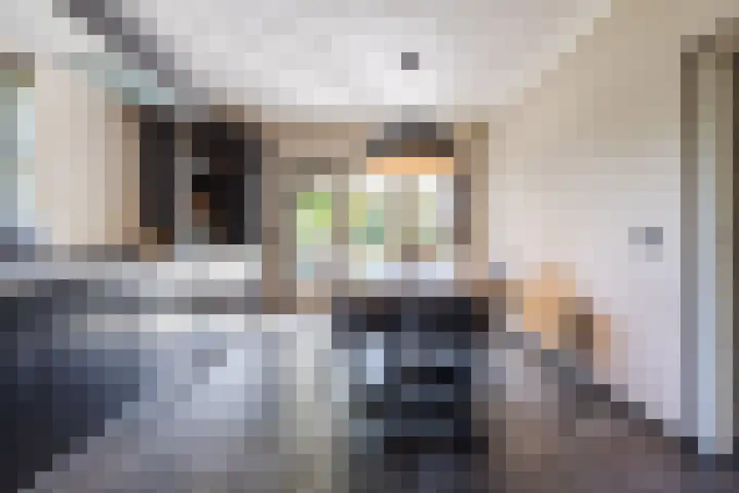 Rijsdijk 2 Oosteind thumbnail 20