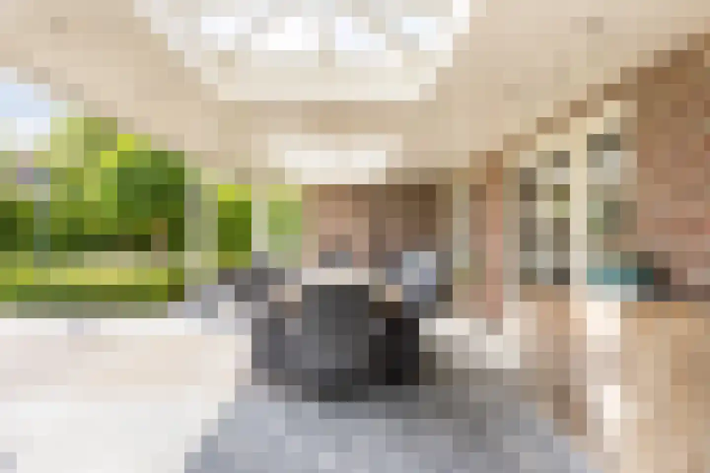 Rijsdijk 2 Oosteind thumbnail 22