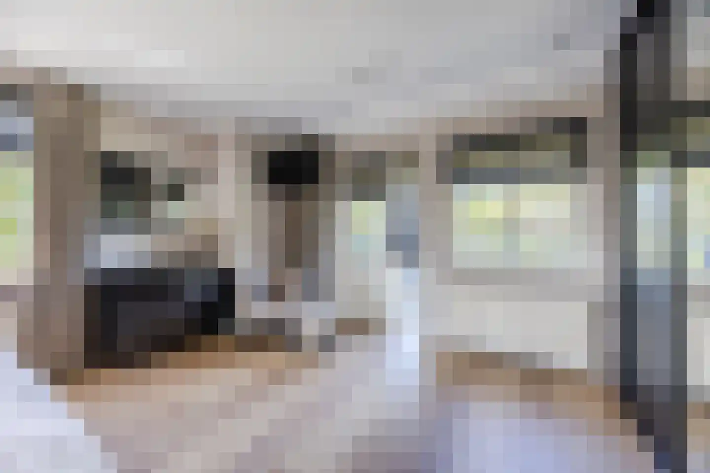 Rijsdijk 2 Oosteind thumbnail 30