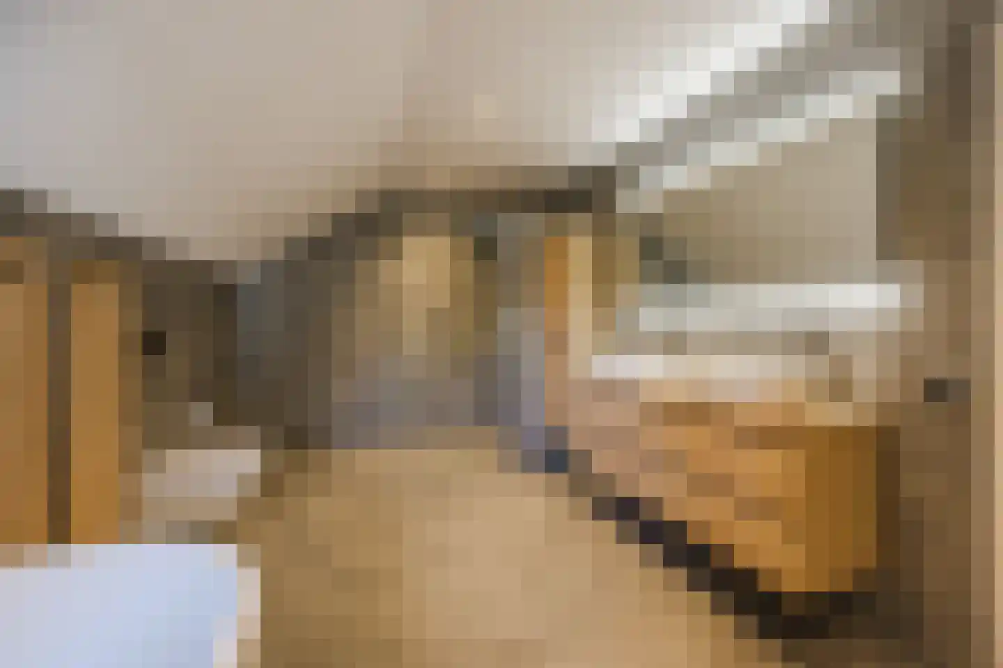 Rijsdijk 2 Oosteind thumbnail 43
