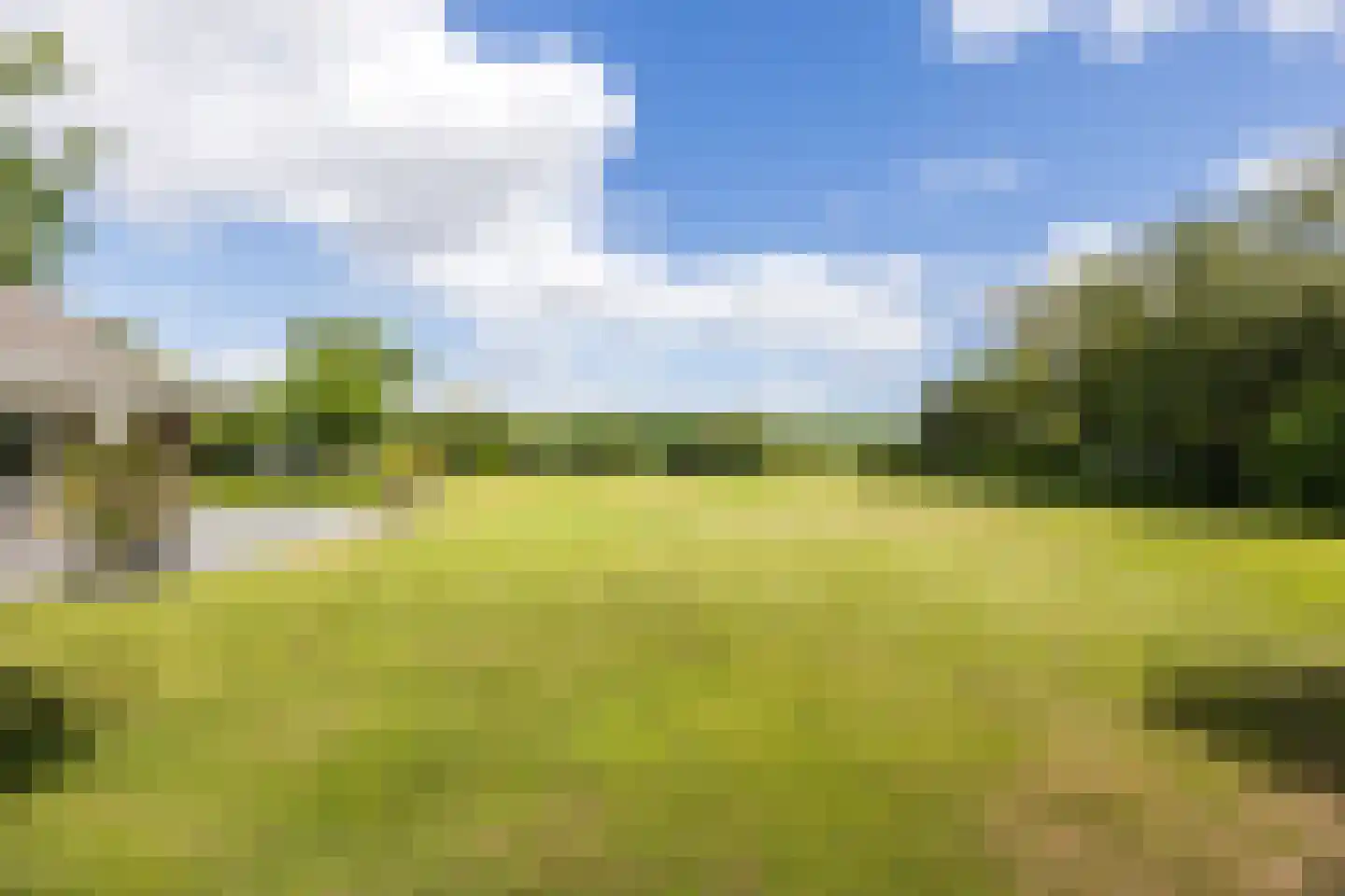 Rijsdijk 2 Oosteind thumbnail 59