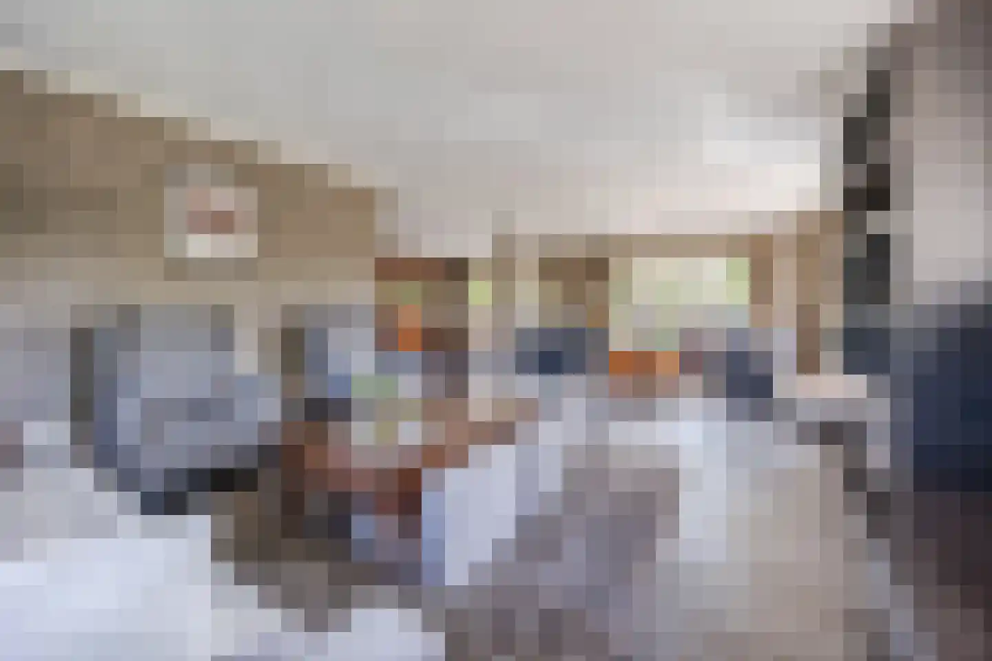Rijsdijk 2 Oosteind thumbnail 6