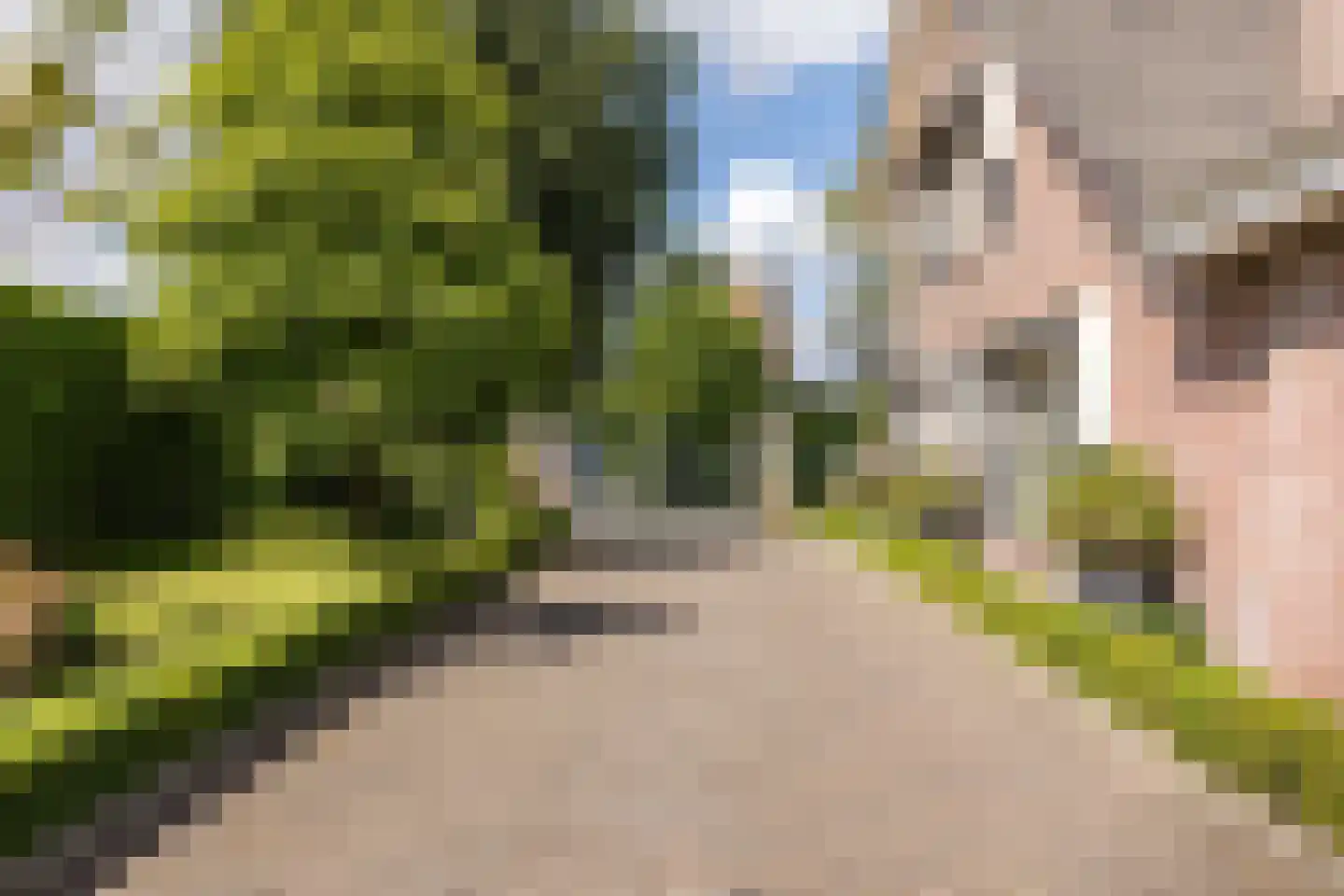 Rijsdijk 2 Oosteind thumbnail 61