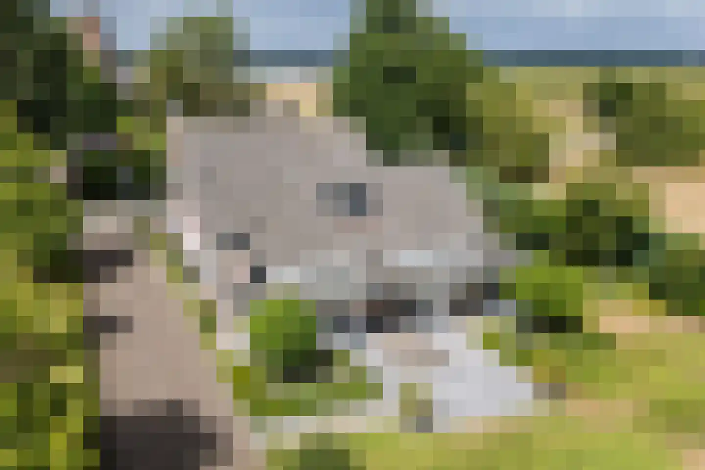 Rijsdijk 2 Oosteind thumbnail 62
