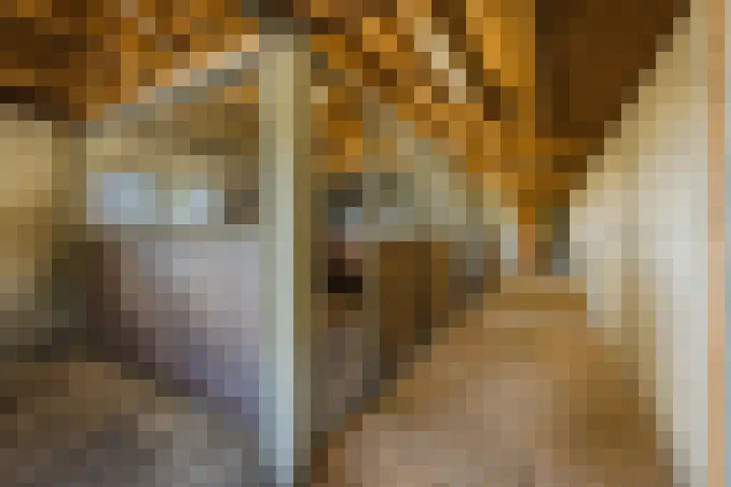 Rijsdijk 2 Oosteind thumbnail 69