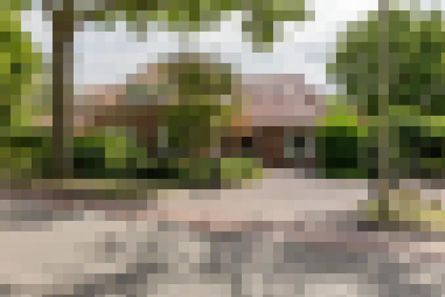 Rijsdijk 32 Rhoon