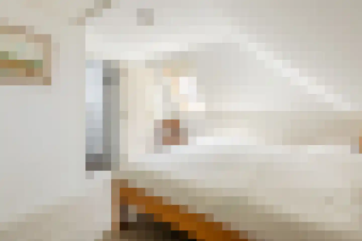 Rijsdijk 32 Rhoon thumbnail 26