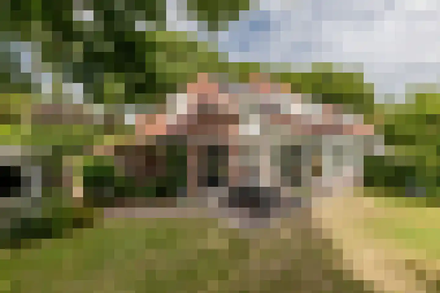 Rijsdijk 32 Rhoon thumbnail 32