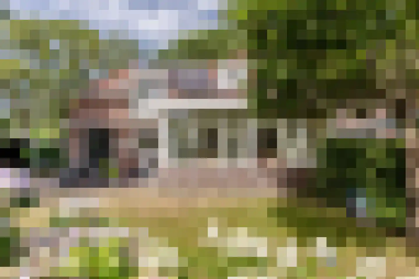 Rijsdijk 32 Rhoon thumbnail 33