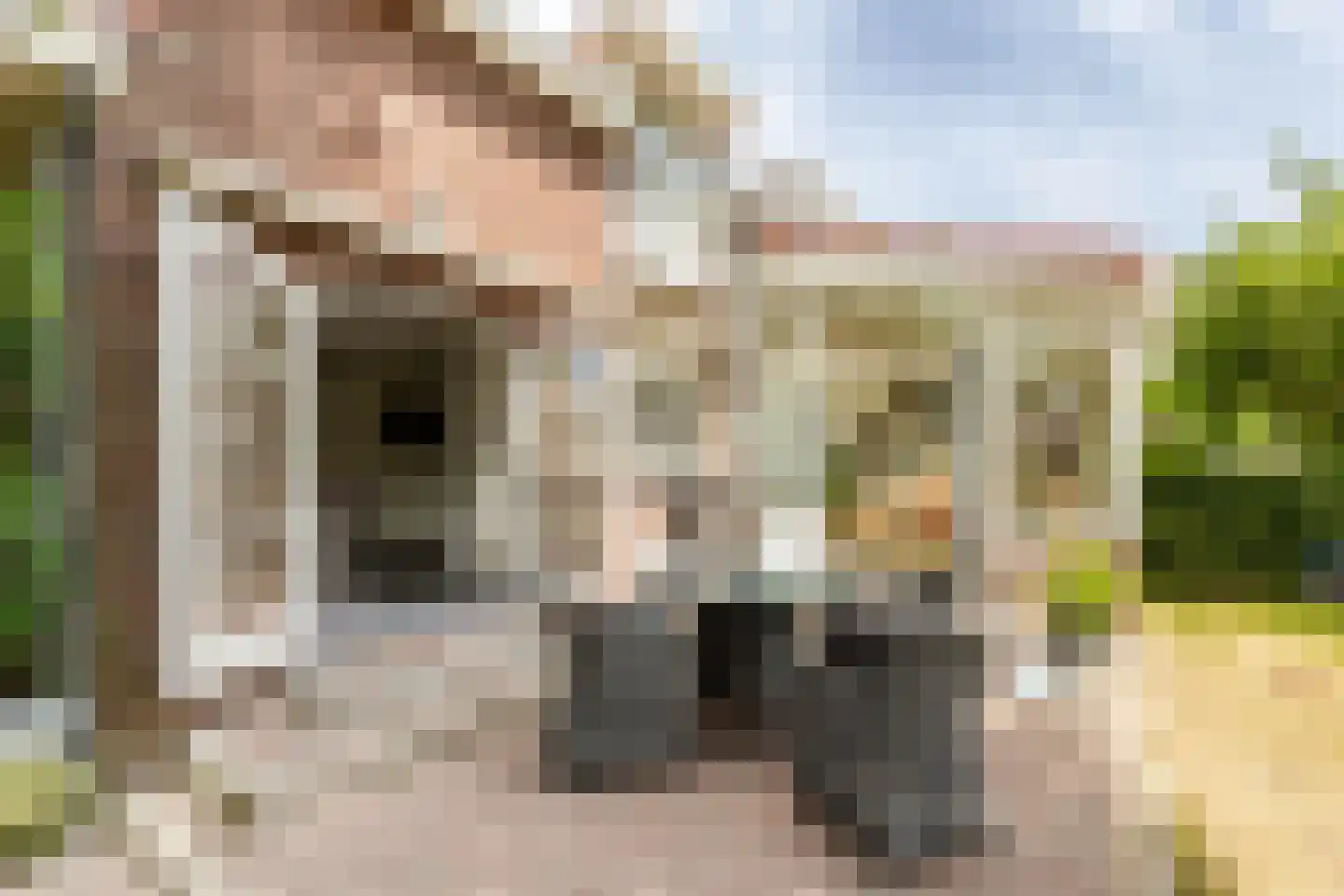 Rijsdijk 32 Rhoon thumbnail 36